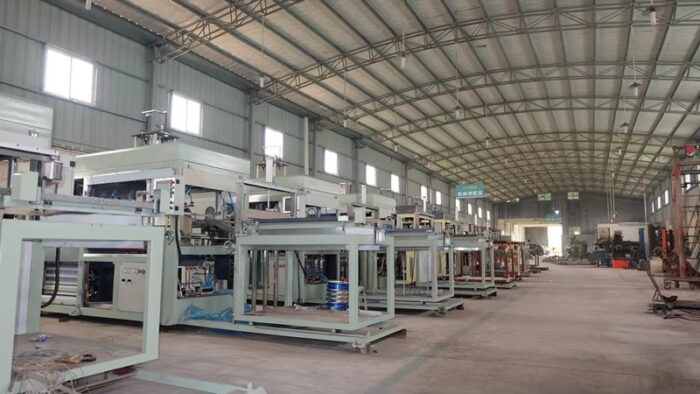 Wenlan blister machine efficient molding ingenuity craft casting quality new packaging - Image 2